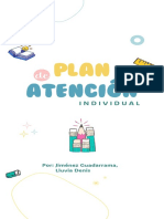 Plan de Atención Individual