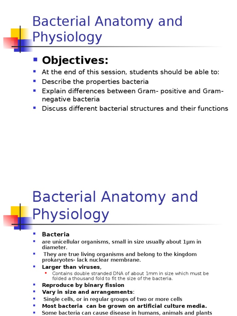 Bacterial Anatomy and Physiology Overview | PDF | Bacteria | Gram ...