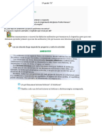 CLASE 3 TAREA 5º Grado CIENCIAS NATURALES, LENGUA Y MATEMÁTICA