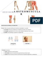 Terminología Médica - Osteomuscular