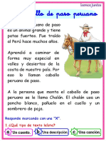 El Caballo de Paso Peruano