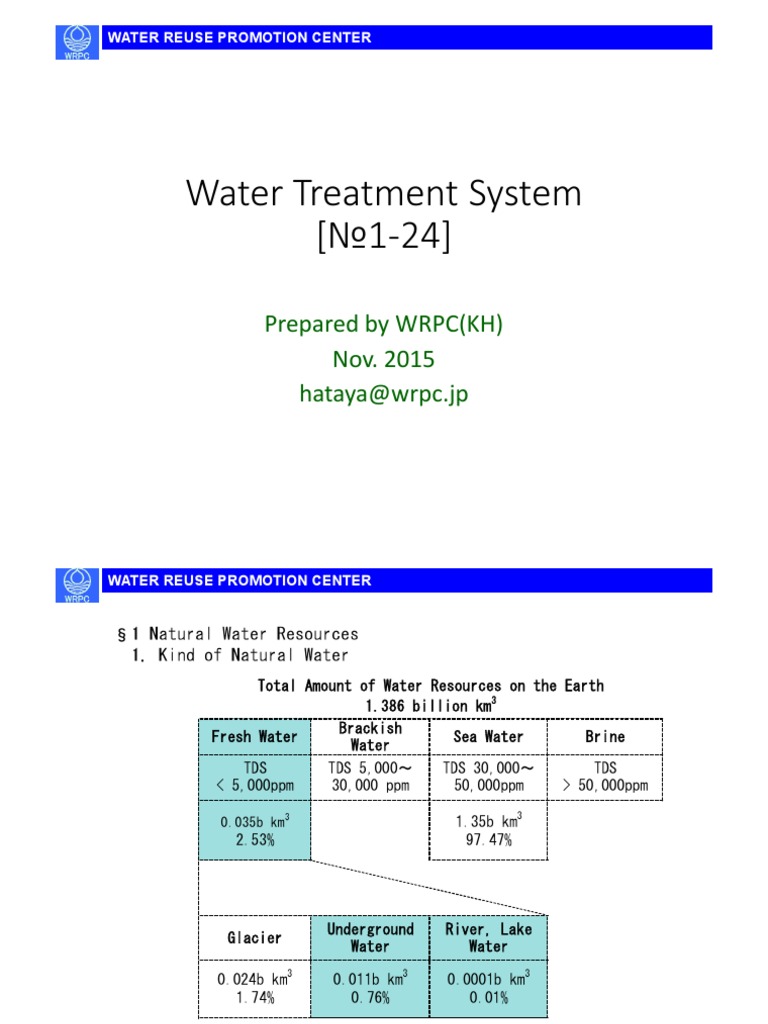 Water Treatment System PDF Ion Water