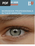 Workbook Professional in Their Mirrors