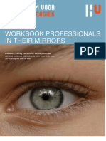 Workbook Professional in Their Mirrors