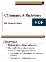 Lecture 45 - Chlamydiae & Rickettsiae - 15 Nov 2006