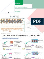 T15-Genes y Sus Función