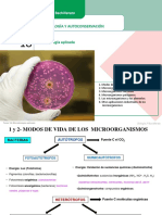 T18-Microbiología Aplicada