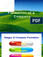 Chapter2 Formation of A Co.
