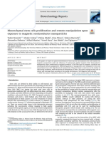 Mesenchymal Stem Cells Proliferation and Remote Manipulation Upon Exposure To Magnetic Semiconductor Nanoparticles