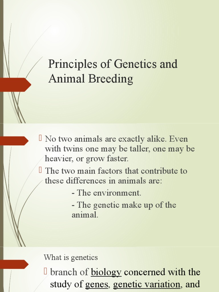 Genetics and Principles of Animal Breeding | PDF | Heredity | Gene