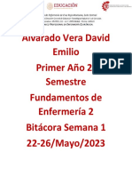 Bitacora 22-26 Alvarado Vera David Emilio 