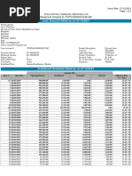 Amortization Report