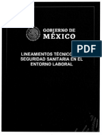 Lineamientos Tecnicos de Seguridad Sanitaria en El Entorno Laboral