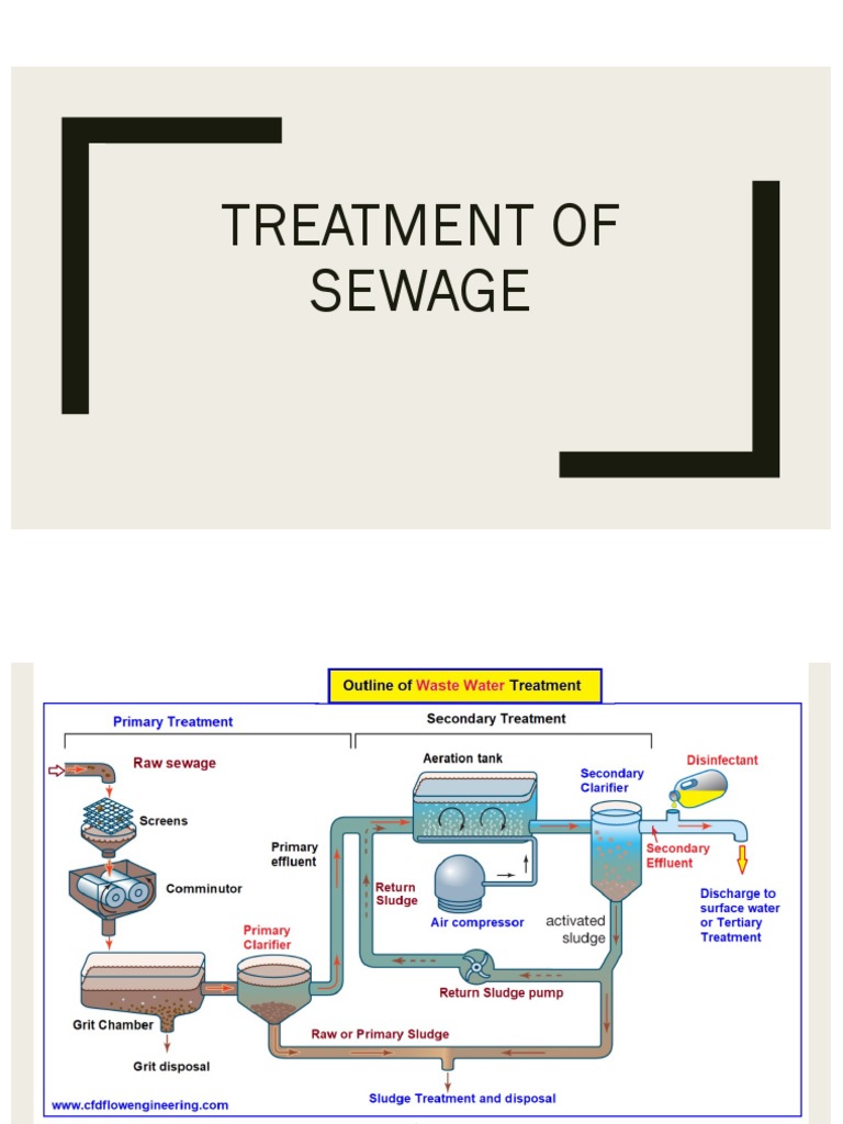 Comprehensive Guide to Sewage Treatment | PDF