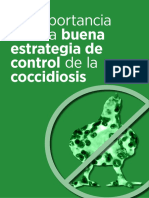 La Importancia de Una Buena Estrategia de Control de La Coccidiosis