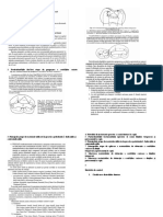 Odonto Pediatrica 4-5 2