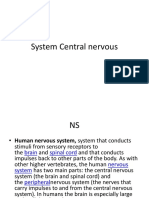 Nervous Syste 1