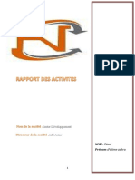 Rapport Des Activites VF