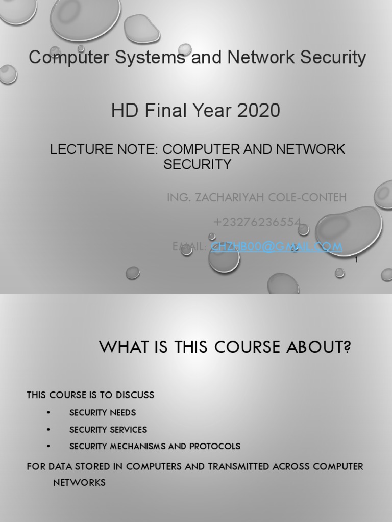 Computer Systems Network Security | PDF
