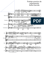 Trabajo Practico Orquestacion Sofia Garrido PDF