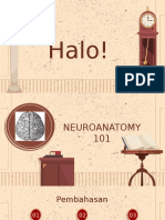 Neuroanatomy 101