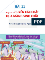 Vận chuyển các chất qua màng