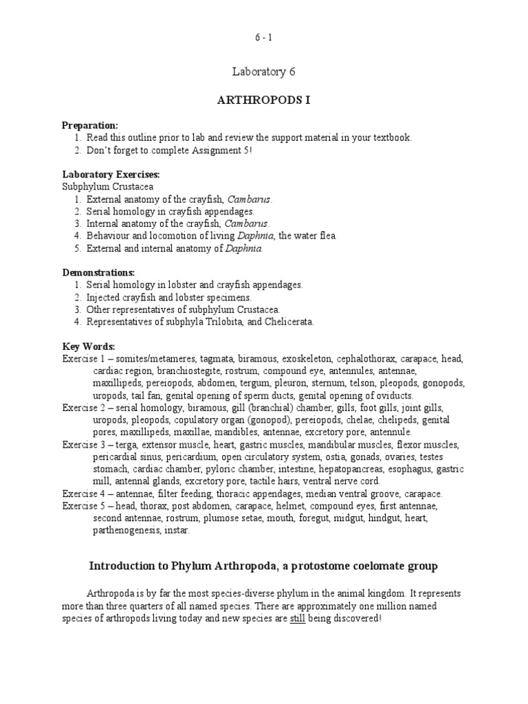 G intelligence overview