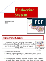 12 - Endocrine System