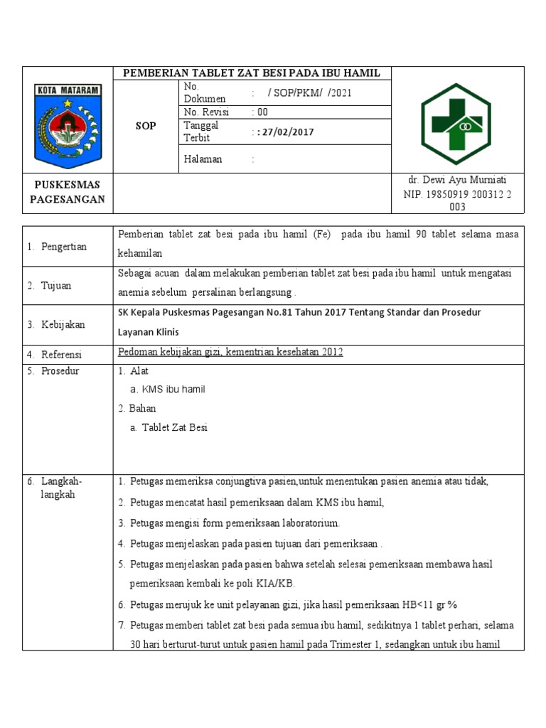 Pemberian tablet zat besi pada ibu hamil pdf kesehatan holistik