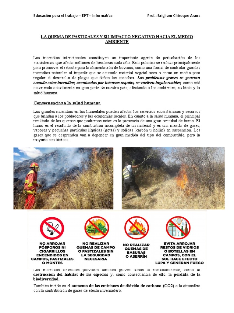 La Quema de Pastizales y Su Impacto Negativo Hacia El Medio Ambiente ...