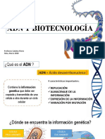 Adn 4to Medio Biologia