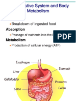 Digestion and Absorption