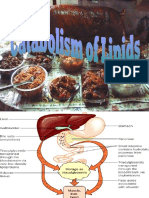 Lipid Metabolism Part2
