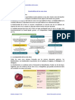 Ejercicios Adaptados Seres Vivos