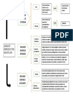 Mapa Acti 1 1