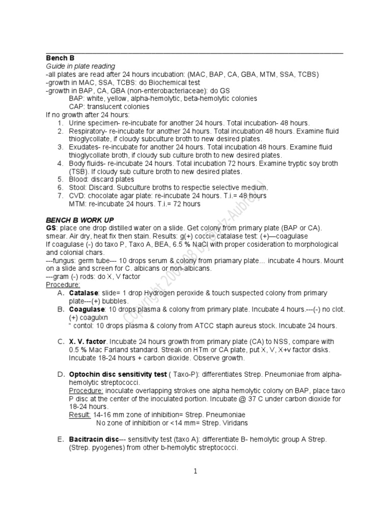 Processing Procedures and Flowcharts | PDF | Streptococcus | Prokaryote