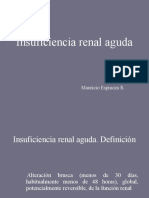 Insuficiencia Renal Aguda: Mauricio Espinoza R