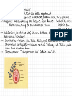 Organisationsebenen Des Lebendigen