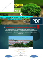 Medio Ambiente PDF