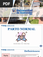 Parto Normal Udes