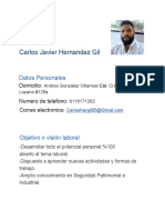 CV Carlos Javier Hernandez Gil