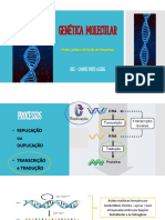 GENETICA MOLECULAR - Transcrição e Tradução - Exercícios