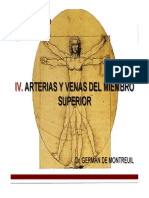 Clase Arterias-Venas Miembro Superior