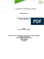 Tarea-5-Prospectiva y Perfiles de Propuestas