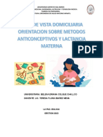 Plan de Visita Domiciliaria - Belen A.colque Ch.