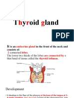 Thyroid Gland