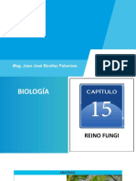 Biología - Semana #15 - Reino Fungi