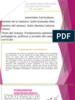 Fundamentos Epistemológicos, Pedagógicos, Políticos y Sociales Del Campo Curricular