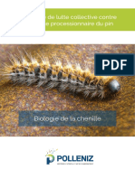 Fiche Biologie Chenille