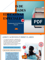 Análisis de Necesidades Educativas Especiales